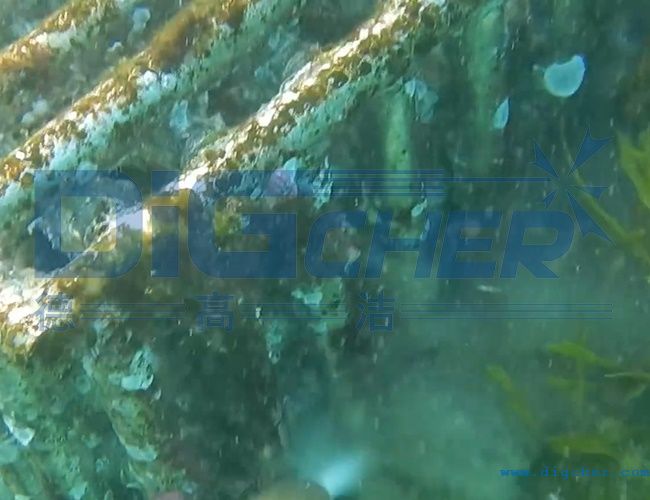 ˮ���B(y��ng)ֳ�W(w��ng)����ϴ���g(sh��)